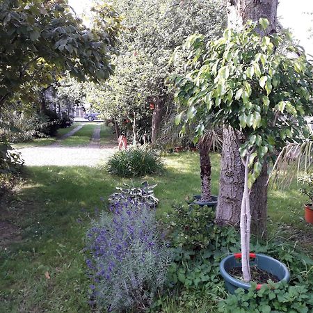 Ferienhaus Gartentraum Rheinsberg Zewnętrze zdjęcie
