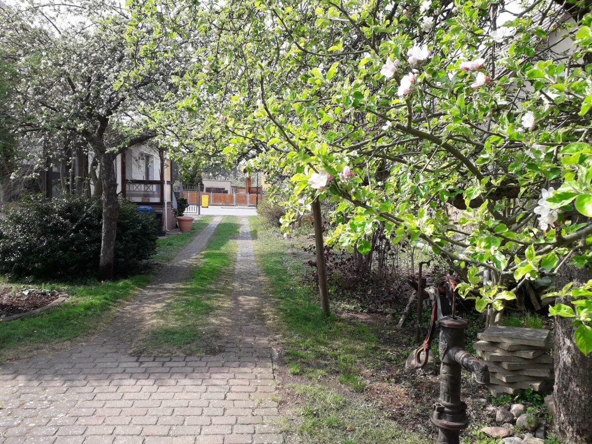 Ferienhaus Gartentraum Rheinsberg Zewnętrze zdjęcie